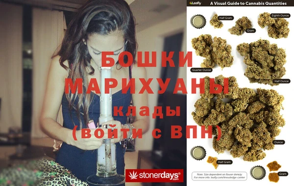 стафф Богданович
