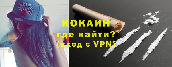 стафф Богданович