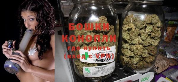 стафф Богданович