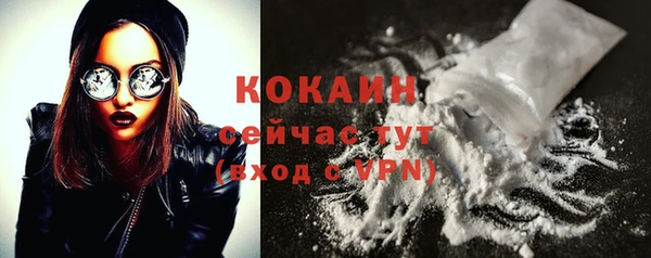 стафф Богданович