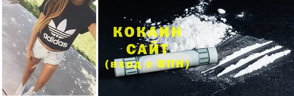 стафф Богданович