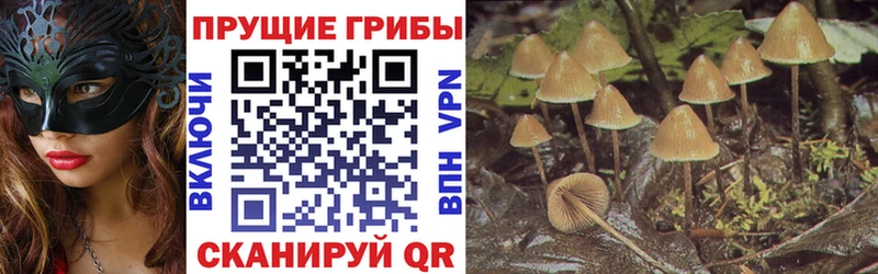 Псилоцибиновые грибы GOLDEN TEACHER  Велиж 