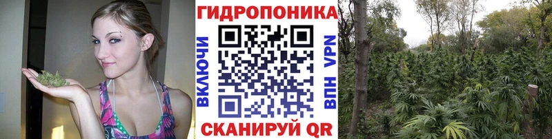 ОМГ ОМГ как войти  Велиж  Бошки Шишки White Widow  купить наркоту 